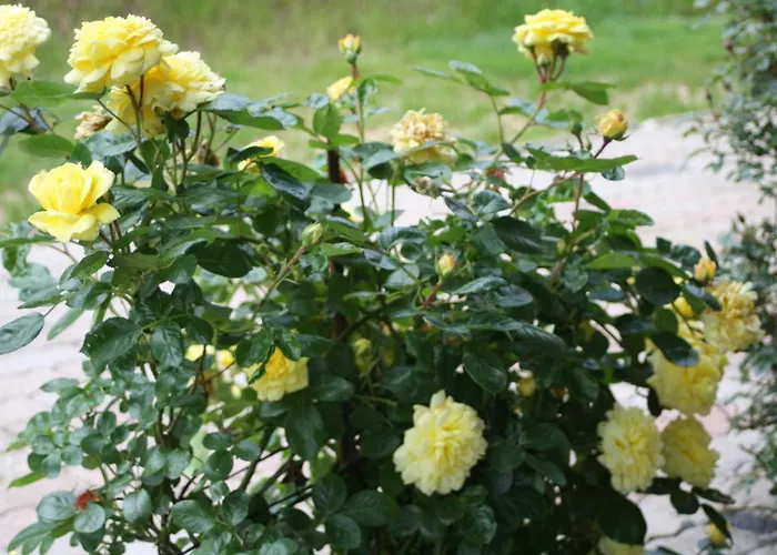 Komfort Fewo70 Holiday home *