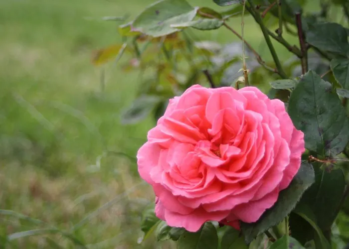 Holiday home Komfort Fewo70